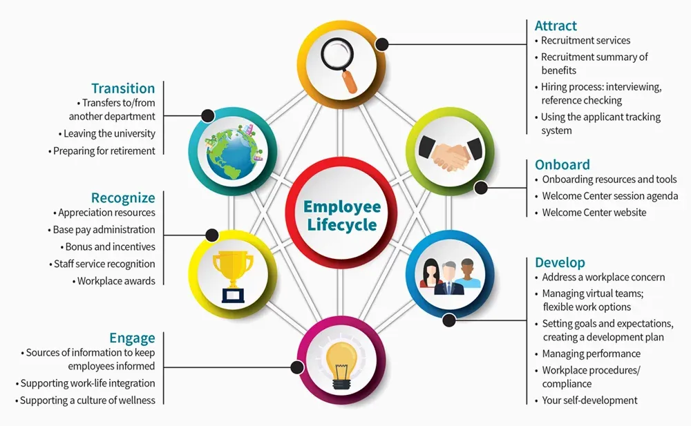 steps to conduct employee lifecycle surveys 