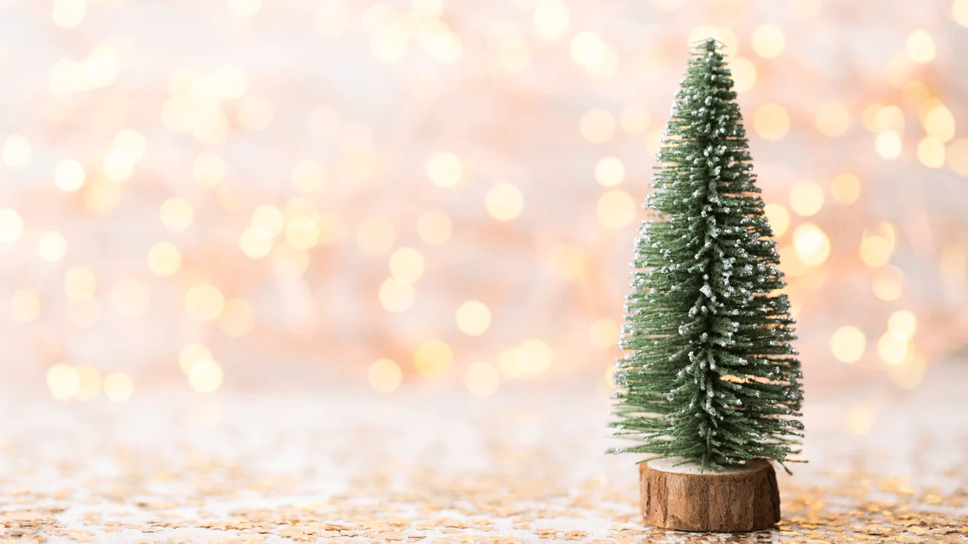 Christmas Wishes & Messages for the Customer Success Team