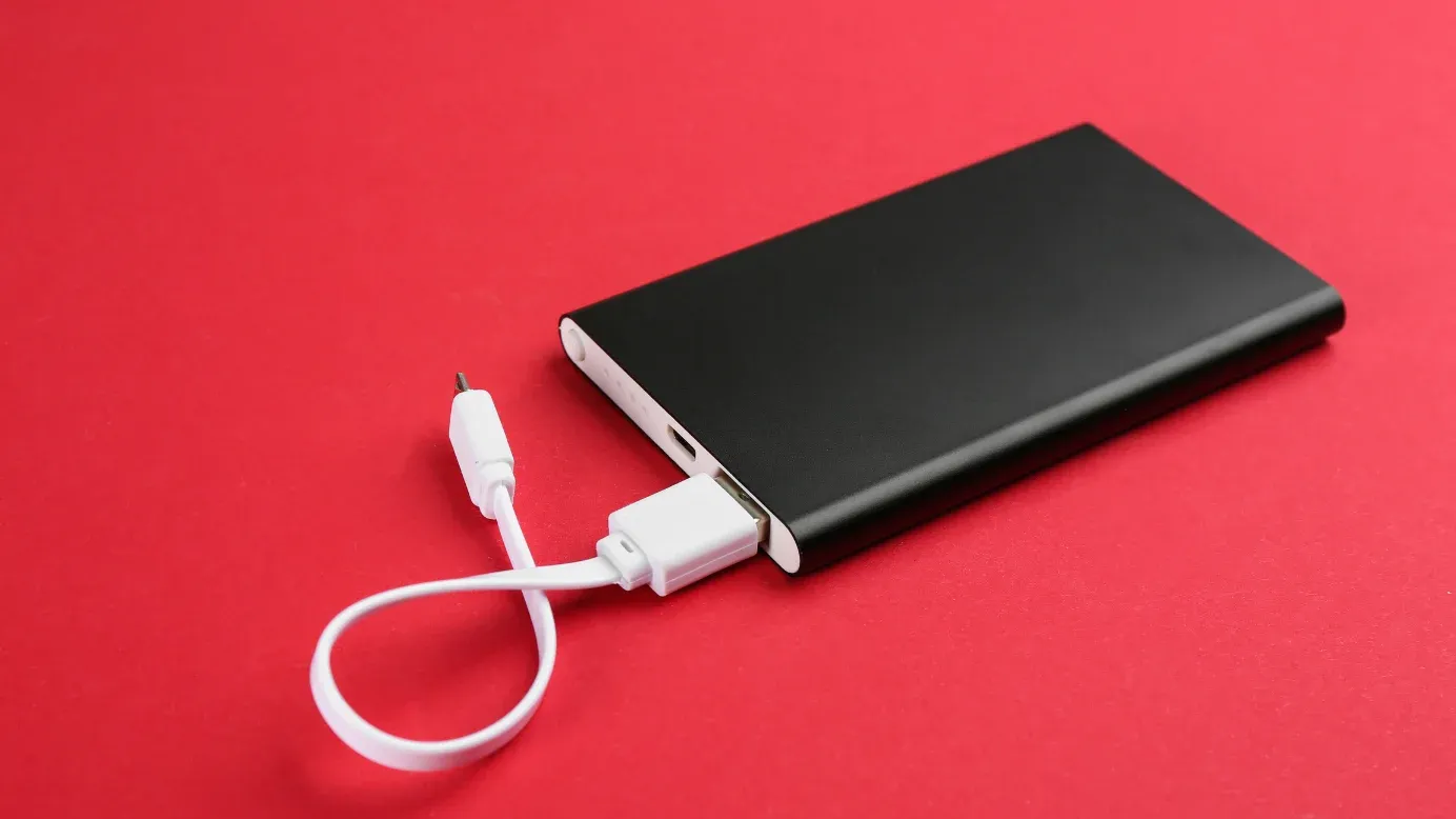 Portable charger