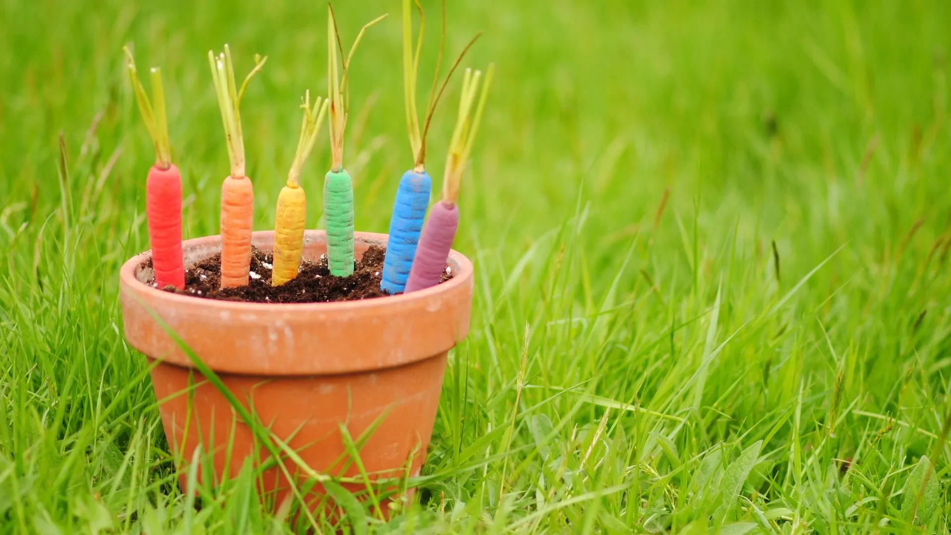 Rainbow-themed Plant Pot Set